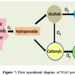 图7 WAO过程的流程操作图