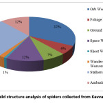 图(iii) Kavvayi河流域蜘蛛的行会结构分析