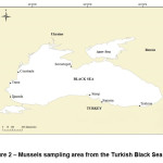 图2 â€“土耳其黑海海岸贻贝采样区